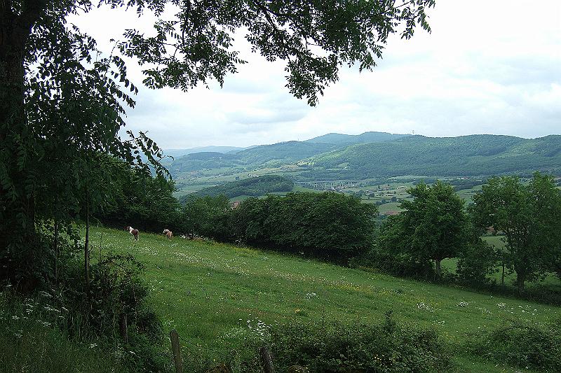 2010-06- (14).JPG - Wir werden für die Mühen reichlich entschädigt - es gibt schöne weite Blicke ins Tal und in die gebirgige Landschaft
